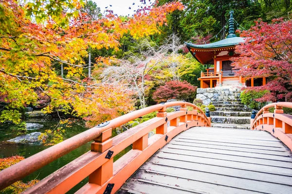 Hermoso Templo Daigoji Con Coloridos Árboles Hojas Temporada Otoño Kyoto — Foto de Stock