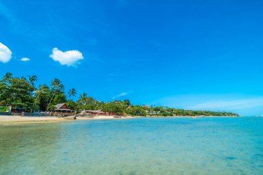 Güzel tropikal plaj deniz ve kum mavi gökyüzü ve beyaz bulut seyahat ve tatil için Hindistan cevizi hurma ağacı ile