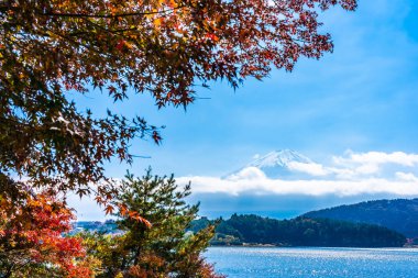 Dağ fuji akçaağaç yaprağı ağaç göl sonbahar sezonu ile güzel manzara