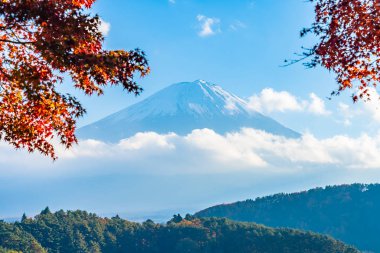 Güzel manzara dağ fuji göl Yamanashi Japonya akçaağaç ağaç yaprak ile