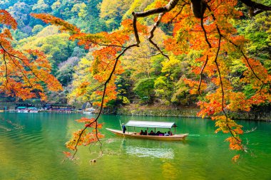 Akçaağaç ağaç yaprak ve sonbahar sezonu Kyoto Japonya göl etrafında tekne ile güzel Arashiyama Nehri