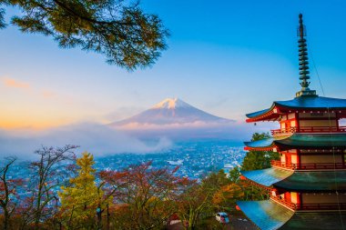 Dağ fuji chureito pagoda akçaağaç ağaç yaprak sonbahar sezonu Yamanashi Japonya çevresinde ile güzel manzara