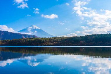 Güzel manzara dağ fuji göl Yamanashi Japonya akçaağaç ağaç yaprak ile