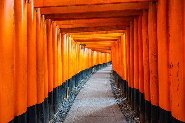 Güzel fushimi Inari tapınak tapınak Kyoto Japonya'da