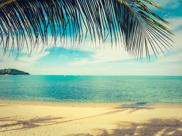 Bella Spiaggia Tropicale Mare Con Palma Cocco Viaggi Vacanze — Foto Stock