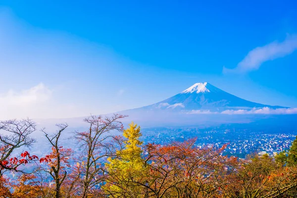 Bellissimo Paesaggio Fuji Montagna Intorno All Acero Foglia Con Nuvola — Foto Stock