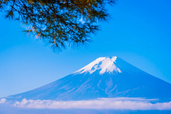 Güzel Manzara Dağ Fuji Akçaağaç Yaprağı Ağaç Beyaz Bulut Yamanashi — Stok fotoğraf