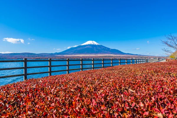 Schöne Landschaft Des Berges Fuji Den Yamanakako See Japan — Stockfoto