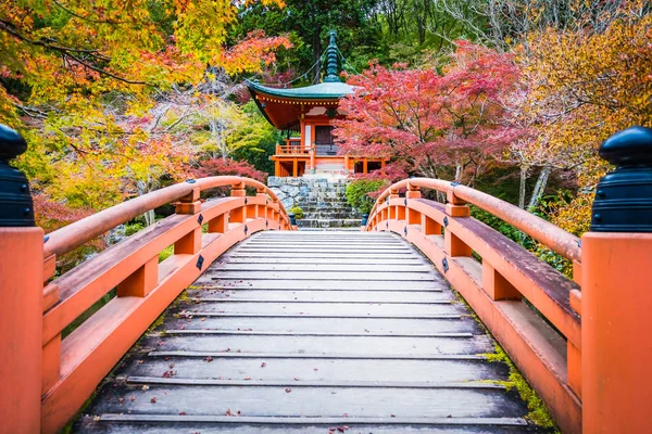 Renkli Ağaç Yaprak Sonbahar Sezonu Kyoto Japonya Ile Güzel Daigoji — Stok fotoğraf