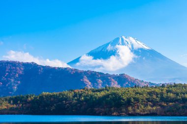Güzel manzara dağ fuji göl Yamanashi Japonya akçaağaç ağaç yaprak ile