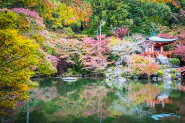 Renkli ağaç ve yaprak sonbahar sezonu Kyoto Japonya ile güzel Daigoji Tapınağı