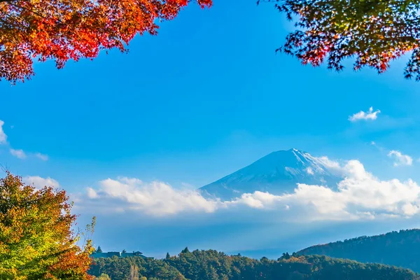 Güzel manzara dağ fuji göl Yamanashi Japonya akçaağaç ağaç yaprak ile