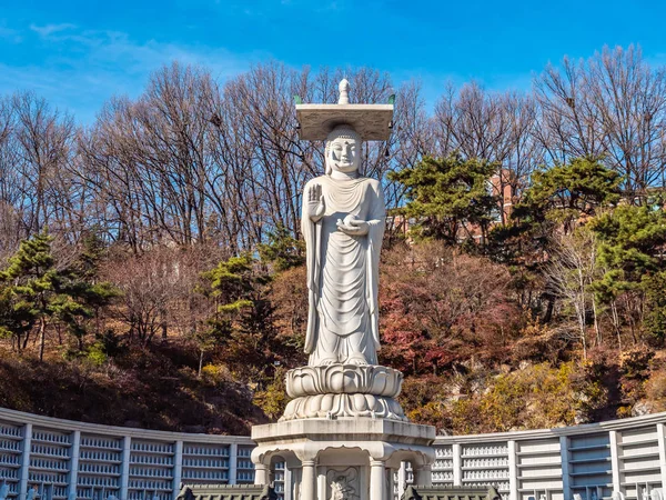 Krásný Buddhismus Socha Bongeunsa Temple City Soul Jižní Korea — Stock fotografie