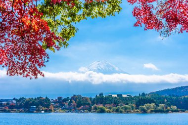 Dağ fuji akçaağaç yaprağı ağaç göl sonbahar sezonu ile güzel manzara