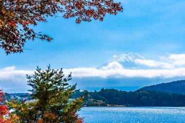 Dağ fuji akçaağaç yaprağı ağaç göl sonbahar sezonu ile güzel manzara