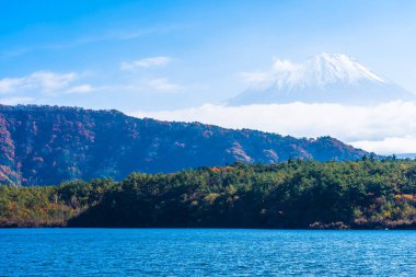 Güzel manzara dağ fuji göl sonbahar sezonu Japonya akçaağaç ağaç yaprak ile