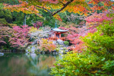 Renkli ağaç ve yaprak sonbahar sezonu Kyoto Japonya ile güzel Daigoji Tapınağı