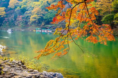 Akçaağaç ağaç yaprak ve sonbahar sezonu Kyoto Japonya göl etrafında tekne ile güzel Arashiyama Nehri