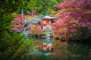 Renkli ağaç ve yaprak sonbahar sezonu Kyoto Japonya ile güzel Daigoji Tapınağı
