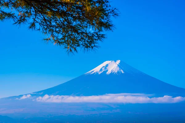 Bela Paisagem Fuji Montanha Torno Árvore Folha Bordo Com Nuvem — Fotografia de Stock