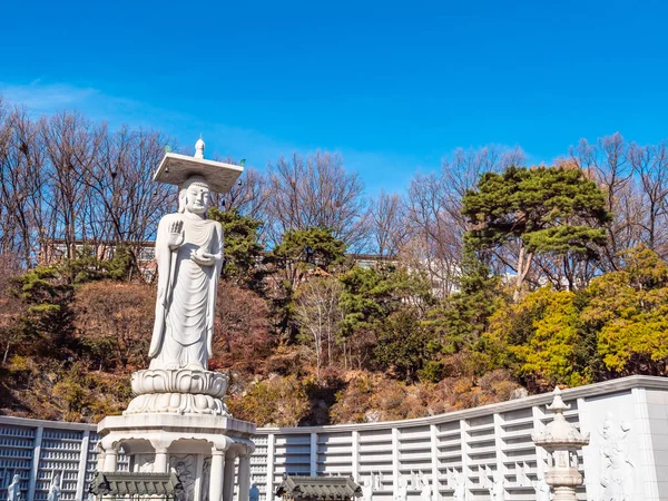 Krásný Buddhismus Socha Bongeunsa Temple City Soul Jižní Korea — Stock fotografie