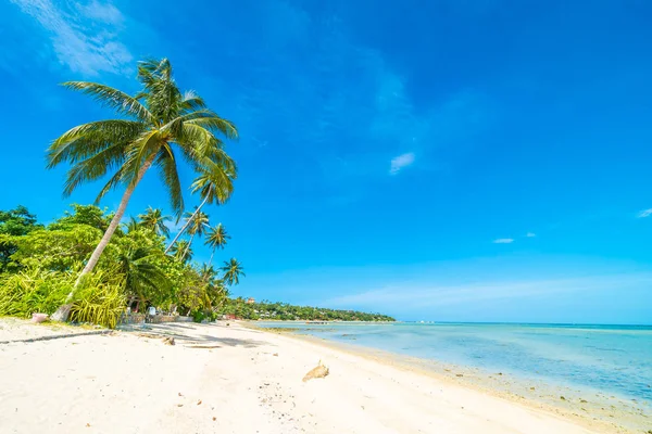 Schöner Tropischer Strand Meer Und Sand Mit Kokospalmen Blauen Himmel — Stockfoto