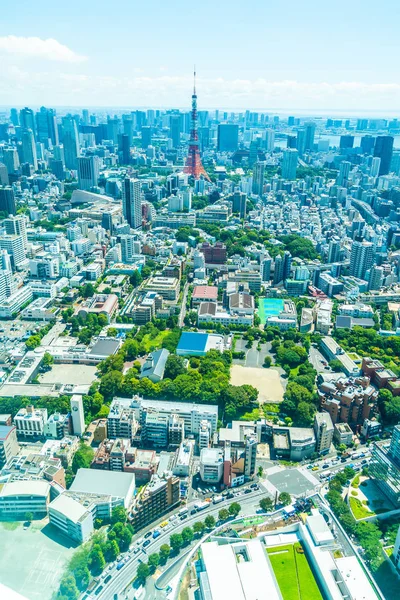 Krásná Architektura Budování Města Tokio Tokyo Tower Modré Obloze Japonsku — Stock fotografie