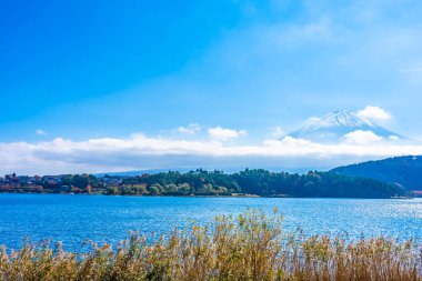 Dağ fuji akçaağaç yaprağı ağaç göl sonbahar sezonu ile güzel manzara