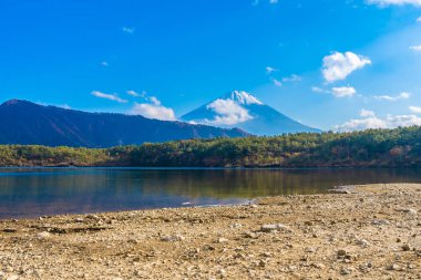 Güzel manzara dağ fuji göl Yamanashi Japonya akçaağaç ağaç yaprak ile