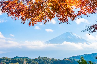 Güzel manzara dağ fuji göl Yamanashi Japonya akçaağaç ağaç yaprak ile