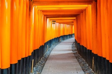 Güzel fushimi Inari tapınak tapınak Kyoto Japonya'da