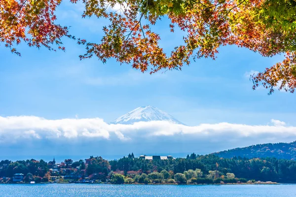 秋天的风景与枫叶树在湖附近美丽的风景富士 — 图库照片