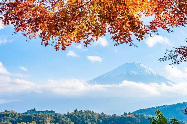 Bellissimo Paesaggio Montagna Fuji Con Acero Foglia Intorno Lago Yamanashi — Foto Stock