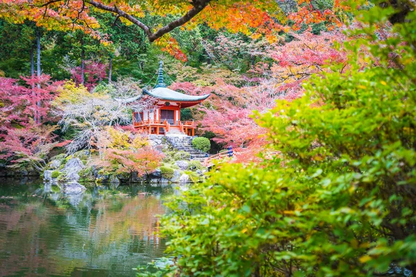 美丽的大国寺与五颜六色的树和叶子在秋天季节京都日本 — 图库照片