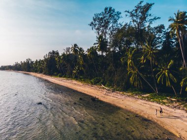 Seyahat ve tatil için adada güzel tropikal plaj ve deniz ağaçları ile havadan görünümü