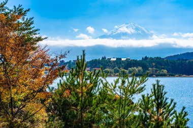 Dağ fuji akçaağaç yaprağı ağaç göl sonbahar sezonu ile güzel manzara