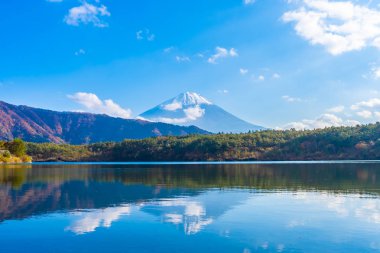 Güzel manzara dağ fuji göl Yamanashi Japonya akçaağaç ağaç yaprak ile