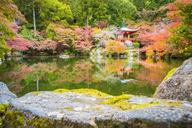 Renkli ağaç ve yaprak sonbahar sezonu Kyoto Japonya ile güzel Daigoji Tapınağı
