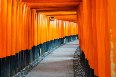 Güzel fushimi Inari tapınak tapınak Kyoto Japonya'da