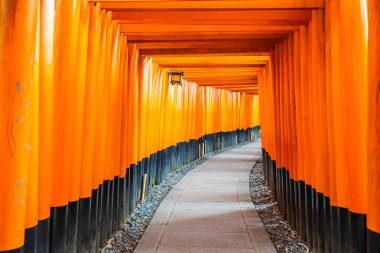 Güzel fushimi Inari tapınak tapınak Kyoto Japonya'da