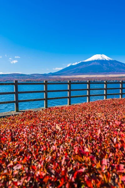 Schöne Landschaft Des Berges Fuji Den Yamanakako See Japan — Stockfoto