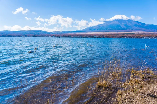 山富士山中湖日本各地の美しい風景 — ストック写真