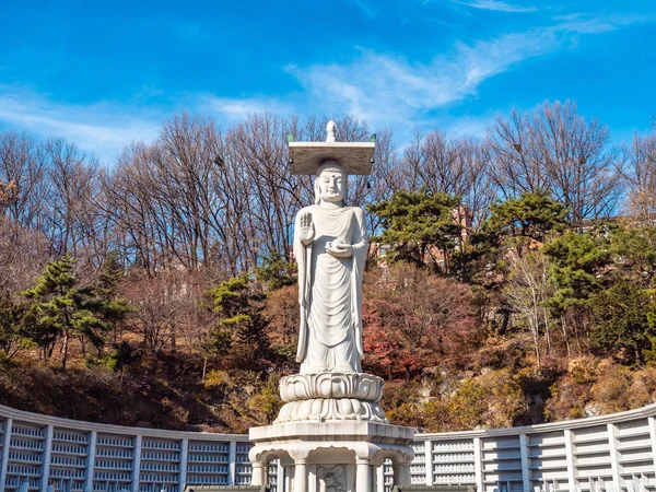 Mooie Boeddhisme Standbeeld Bongeunsa Tempel Stad Seoul Zuid Korea — Stockfoto