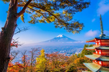 Dağ fuji chureito pagoda akçaağaç ağaç yaprak sonbahar sezonu Yamanashi Japonya çevresinde ile güzel manzara
