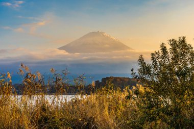 Dağ fuji akçaağaç yaprağı ağaç göl günbatımı zaman Yamanashi Japonya sonbahar sezonu ile güzel manzara