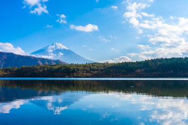 Güzel manzara dağ fuji göl Yamanashi Japonya akçaağaç ağaç yaprak ile