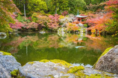 Renkli ağaç ve yaprak sonbahar sezonu Kyoto Japonya ile güzel Daigoji Tapınağı