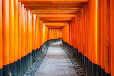 Güzel fushimi Inari tapınak tapınak Kyoto Japonya'da