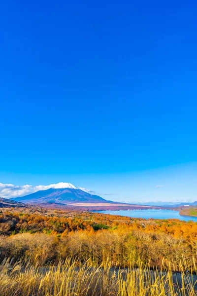 Όμορφο Τοπίο Του Βουνού Fuji Στη Λίμνη Yamanakako Yamanaka Στη — Φωτογραφία Αρχείου