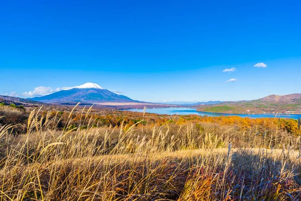 秋の季節に日本の山中湖や山中湖の富士山の美しい風景 — ストック写真